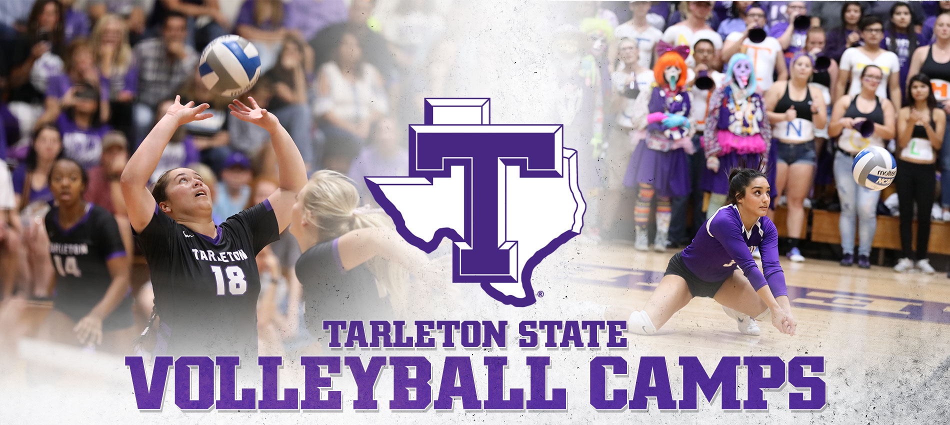Tarleton State Volleyball
